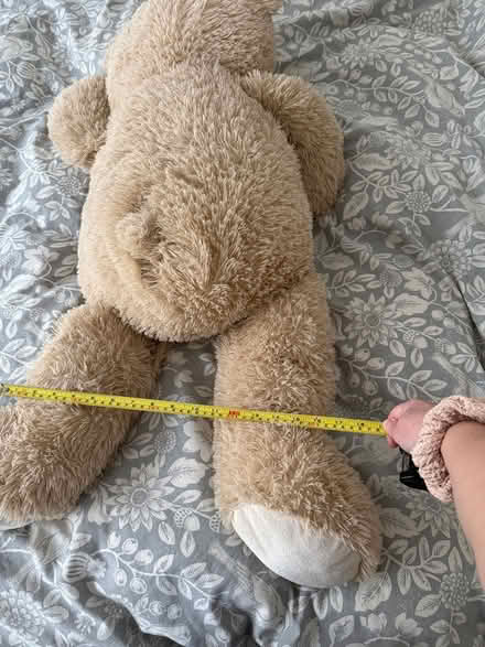 Photo of free Large fluffy teddy (Carshalton) #4