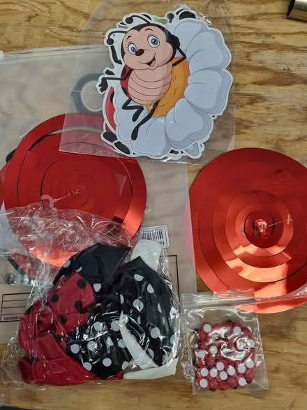 Photo of free Ladybird craft stuff (CM2 springfield, chelmsford) #1