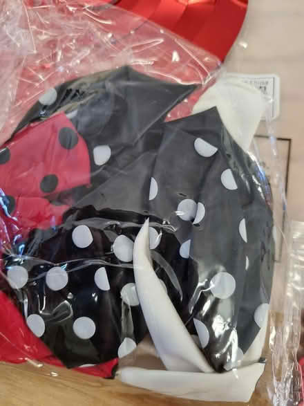 Photo of free Ladybird craft stuff (CM2 springfield, chelmsford) #3