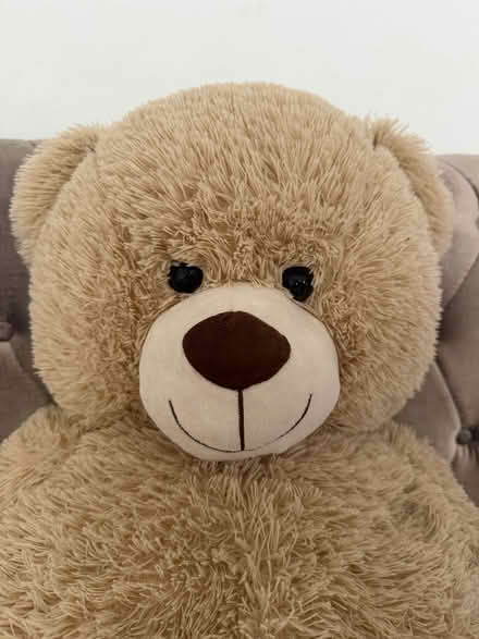 Photo of free Large fluffy teddy (Carshalton) #2