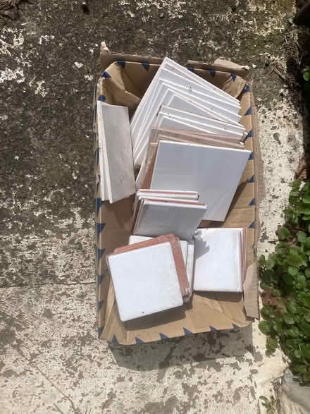 Photo of free Box of white wall tiles (Southville BS3) #1