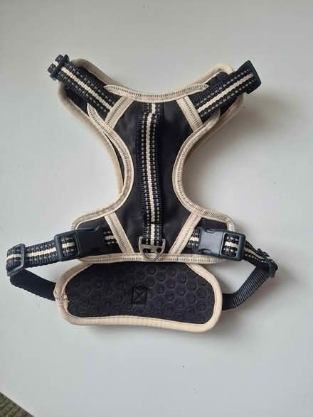 Photo of free Adjustable Dog Harness, Small (Sw155au, Barnes) #1