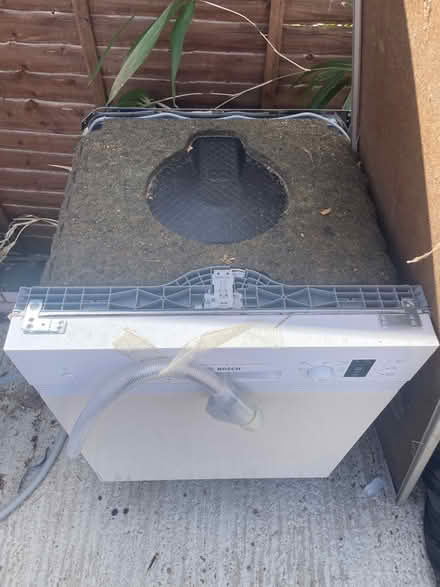 Photo of free Old Bosch dishwasher (Godalming) #3