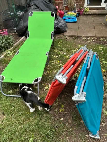 Photo of free 3 x sun loungers (SE3) #1