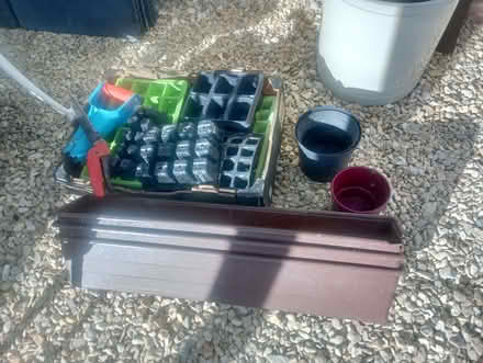 Photo of free Gardening bits and pieces (Dursley GL11) #3