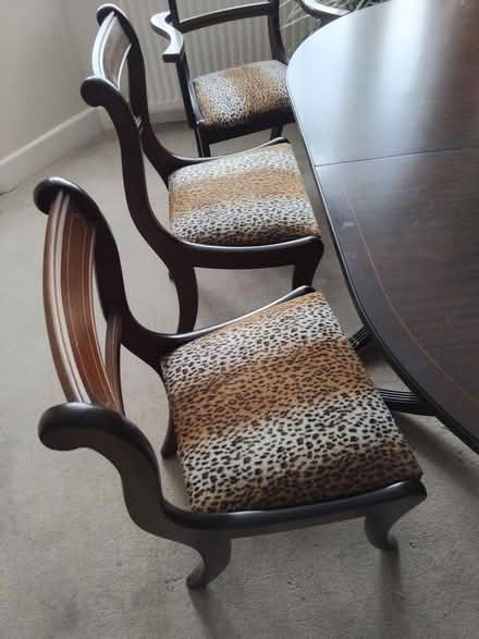 Photo of free Dining Table, Chairs (Ringwood BH24) #2