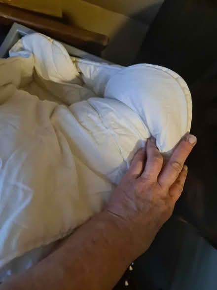 Photo of free Single duvet, durable (Dalston E8) #2