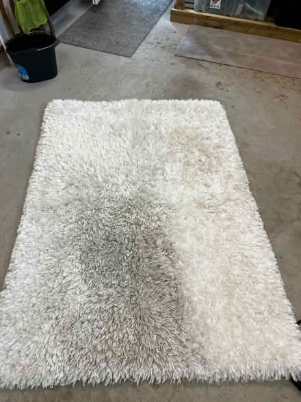 Photo of free Shaggy Rug (East Horsley) #1
