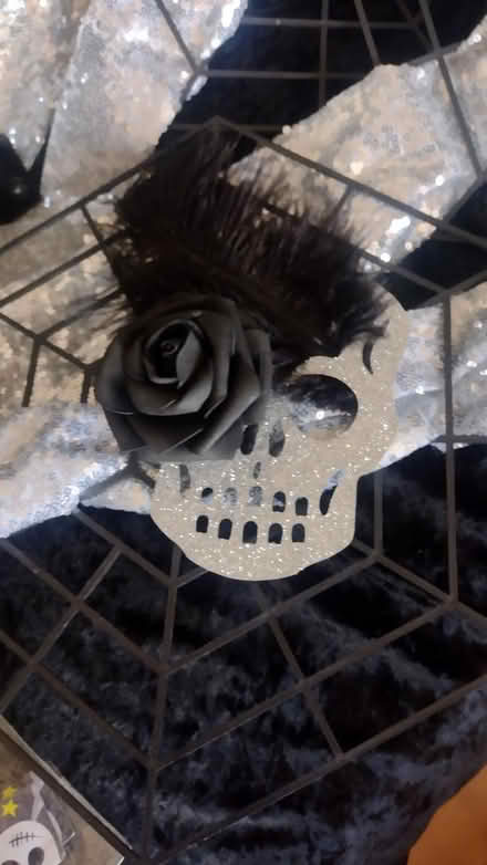 Photo of free Halloween stuff (Erdington B235HA) #4