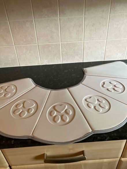 Photo of free Adjustable collar after surgery (Basingstoke) #2