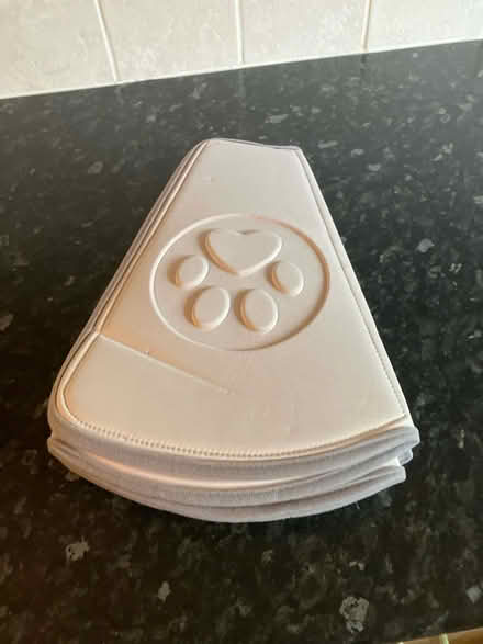 Photo of free Adjustable collar after surgery (Basingstoke) #1