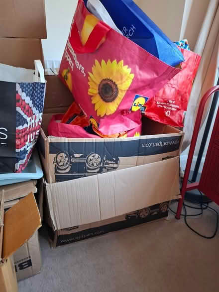 Photo of free Cardboard boxes and shopping bags (Malvern, WR14) #2