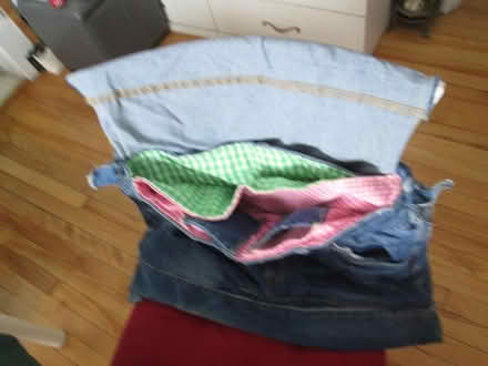 Photo of free blue jeans bag (Old Ottawa South) #1