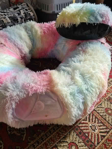 Photo of free Cat play tunnel (Halifax) #2