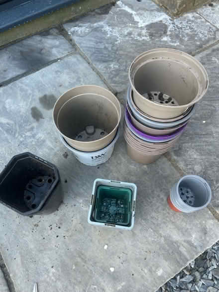 Photo of free Plastic plant pots - various sizes (W13) #2