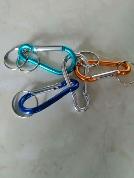 Photo of free Large Carabiner clips (California DE22) #1