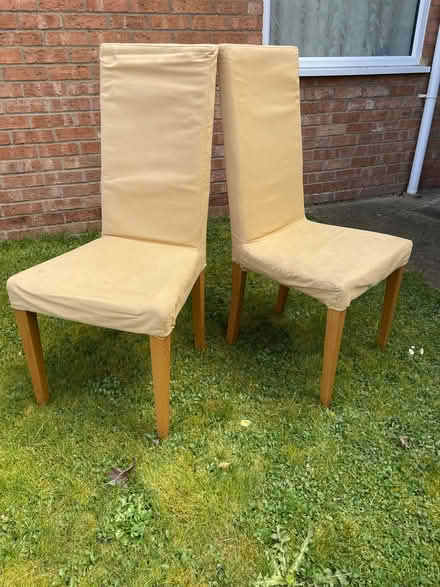Photo of free Pair of beige dining chairs (Twyford OX17) #1