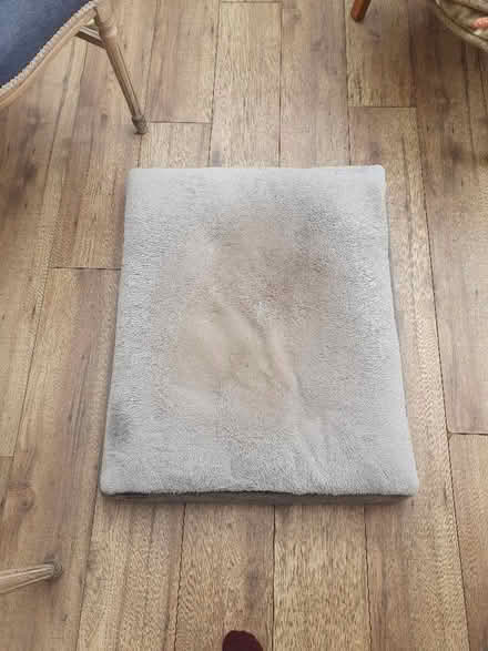 Photo of free Large dog bed (Kendal LA9) #1