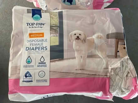 Photo of free 30 Medium female dog diapers (Reston) #1
