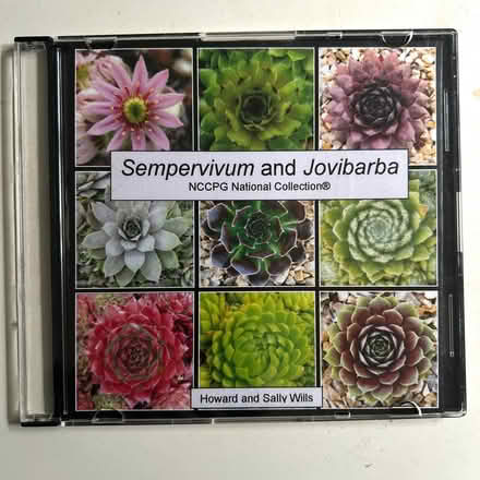 Photo of free Sempervivum/Sedum CD (Presteigne LD8) #1