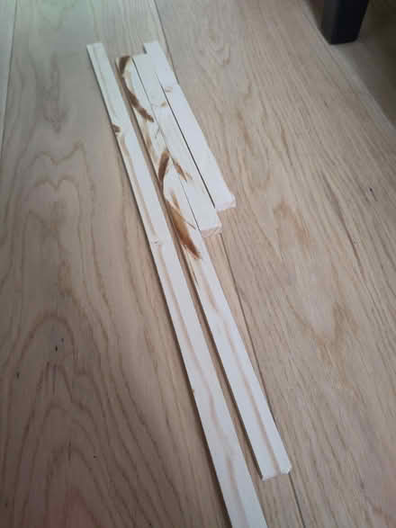 Photo of free Untreated wood (Clifton BS8) #2