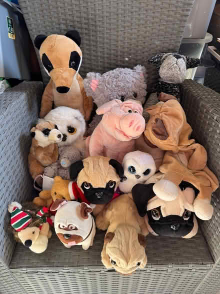 Photo of free Soft toys (Aspley NG8) #1