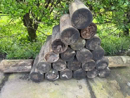 Photo of free Round, wooden posts (South Harting) #1