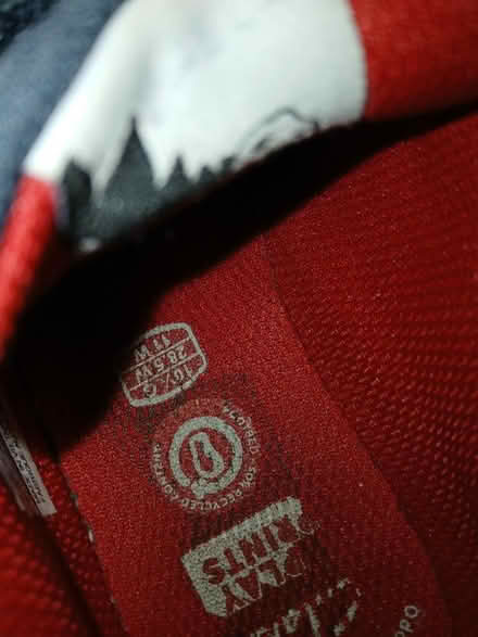 Photo of free Child's dino trainers (Parkhead EH11) #3