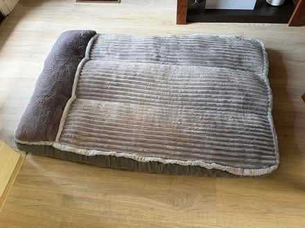 Photo of free Dog Bed (near Finley Park, Santa Rosa) #1