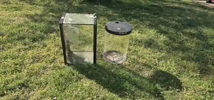 Photo of free terrarium or amphibian tank (Near Menchville high School) #1