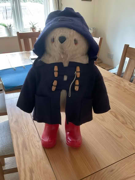 Photo of free Paddington Bear (North Walsham NR28) #1