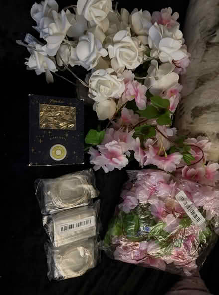 Photo of free Battery lights and decor (Heartsease Norwich NR7) #1