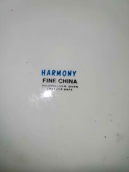 Photo of free 18 dinner plates (Dublin 16) #2