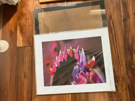 Photo of free pictures, picture frames, posters (Chingford) #3