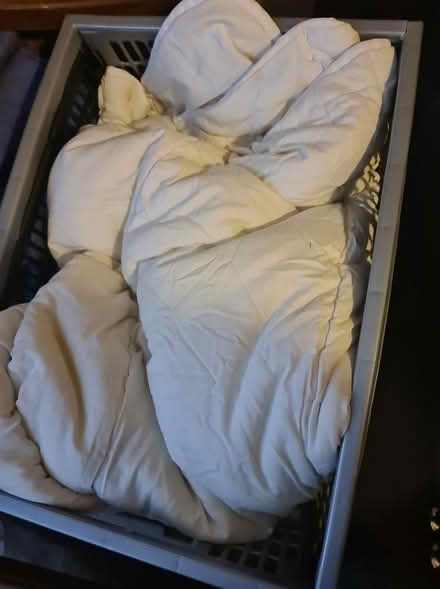 Photo of free Single duvet, durable (Dalston E8) #1