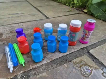 Photo of free Bubbles (Lewes BN7) #1