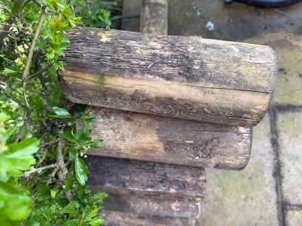 Photo of free Round, wooden posts (South Harting) #2