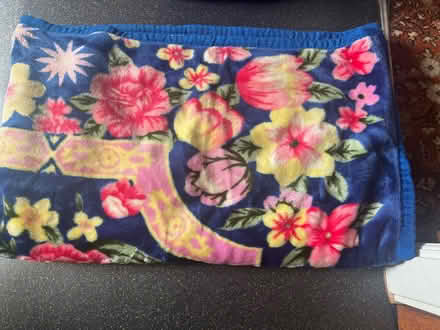 Photo of free Kind size blanket (Brinsworth S60) #2