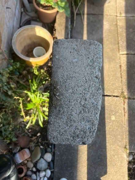 Photo of free Concrete outdoor step (Ashton-in-Makerfield WN4) #2