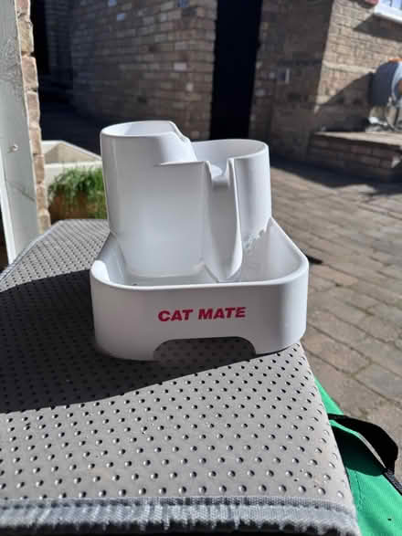 Photo of free Cat equipment (Cambridge/Royston) #4