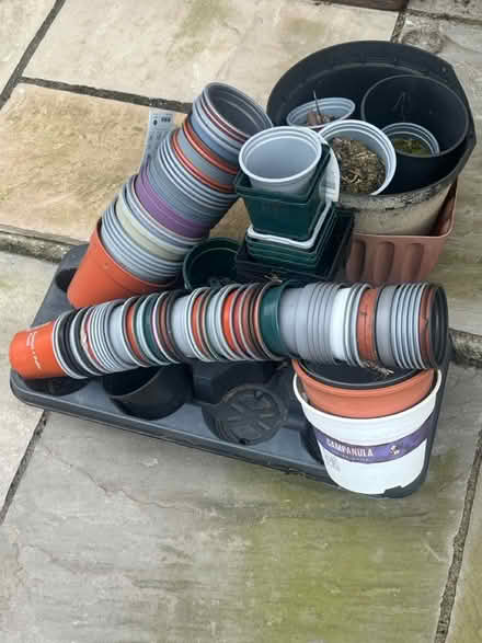 Photo of free 100+ plant pots (various sizes) (Widnes, WA8) #1