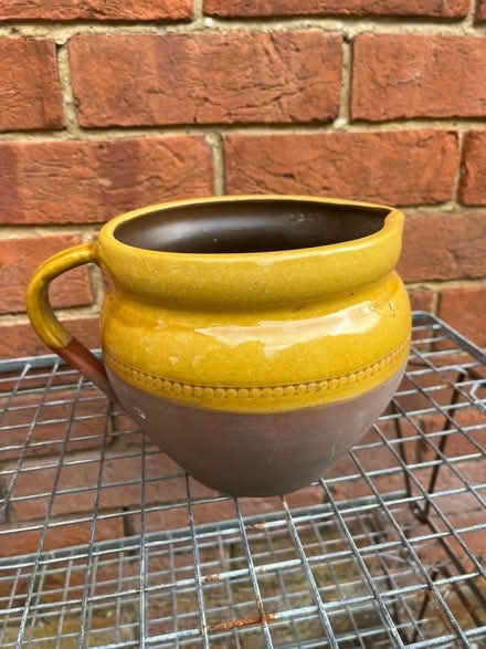 Photo of free Indoor Plant or Decorative Pot (Winkfield Row RG42) #1