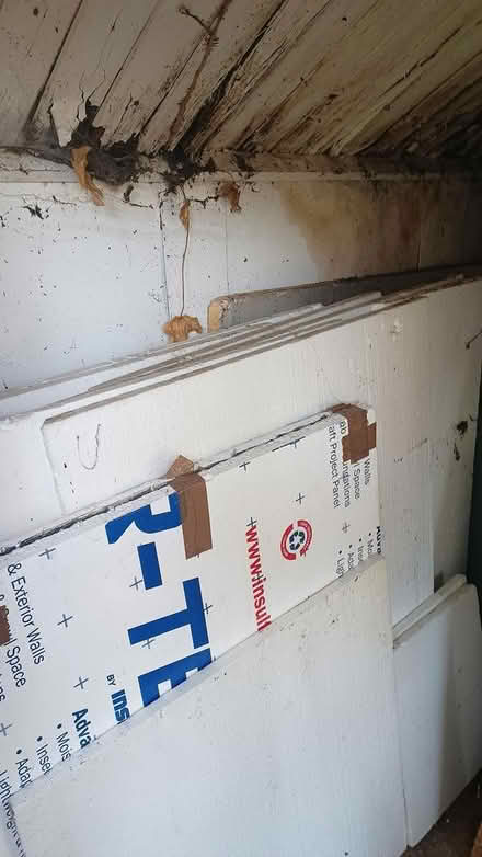 Photo of free Polystyrene insulation sheets (East Sheen, SW14) #1