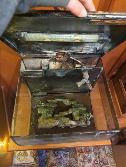 Photo of free Fluval flex 34l tank (Tollesbury CM9) #2