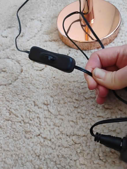 Photo of free Spot lamp (billericay CM12) #3