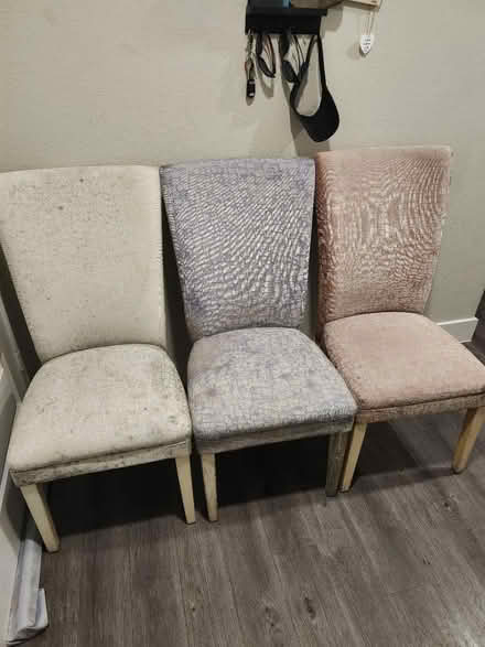 Photo of free Three dining chairs (76102) #1