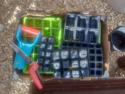 Photo of free Gardening bits and pieces (Dursley GL11) #2