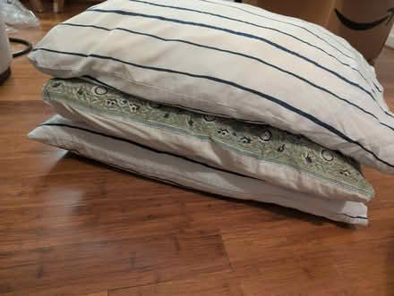 Photo of free 3 Pillows with covers (Redwood city) #1