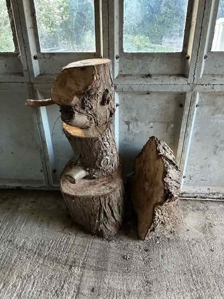 Photo of free 4x large logs (Freeland OX29) #1