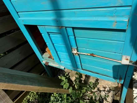 Photo of free Chicken coop Barry Island (Barry island CF62) #2